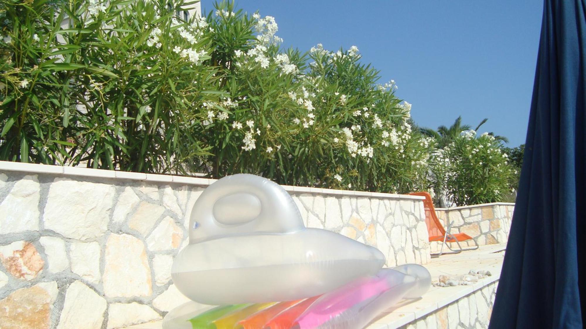 Apartments Niana With Heated Seawater Swimingpool Donji Okrug  Eksteriør billede